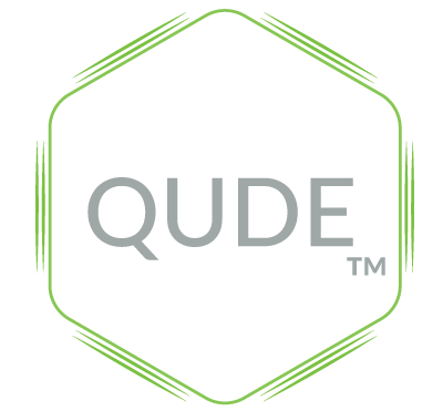 QUDEX platform